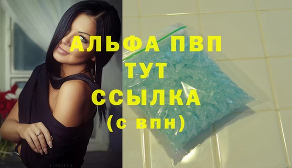 Альфа ПВП Каменка