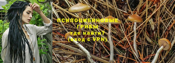 соль курить ск Алексеевка