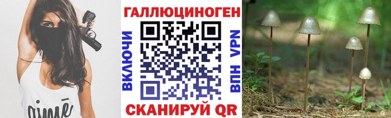 Псилоцибиновые грибы Psilocybine cubensis Новотитаровская
