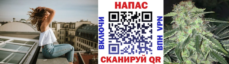 Конопля гибрид Новотитаровская